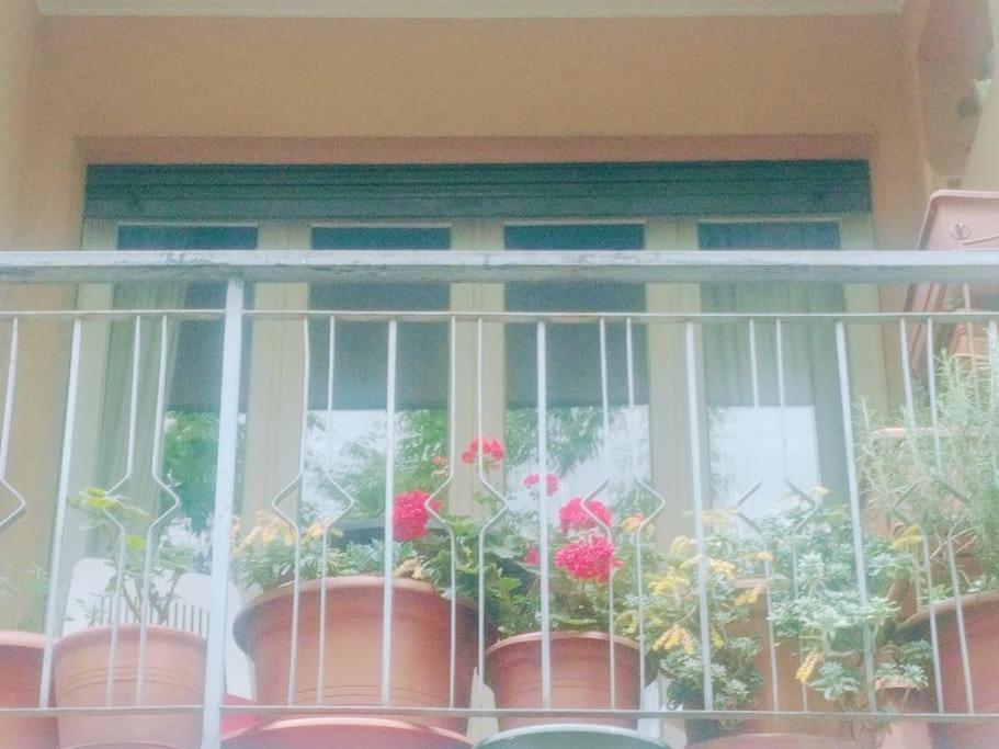 Apartmán Ampi Spazi, A Piedi In Centro. Treviso Exteriér fotografie